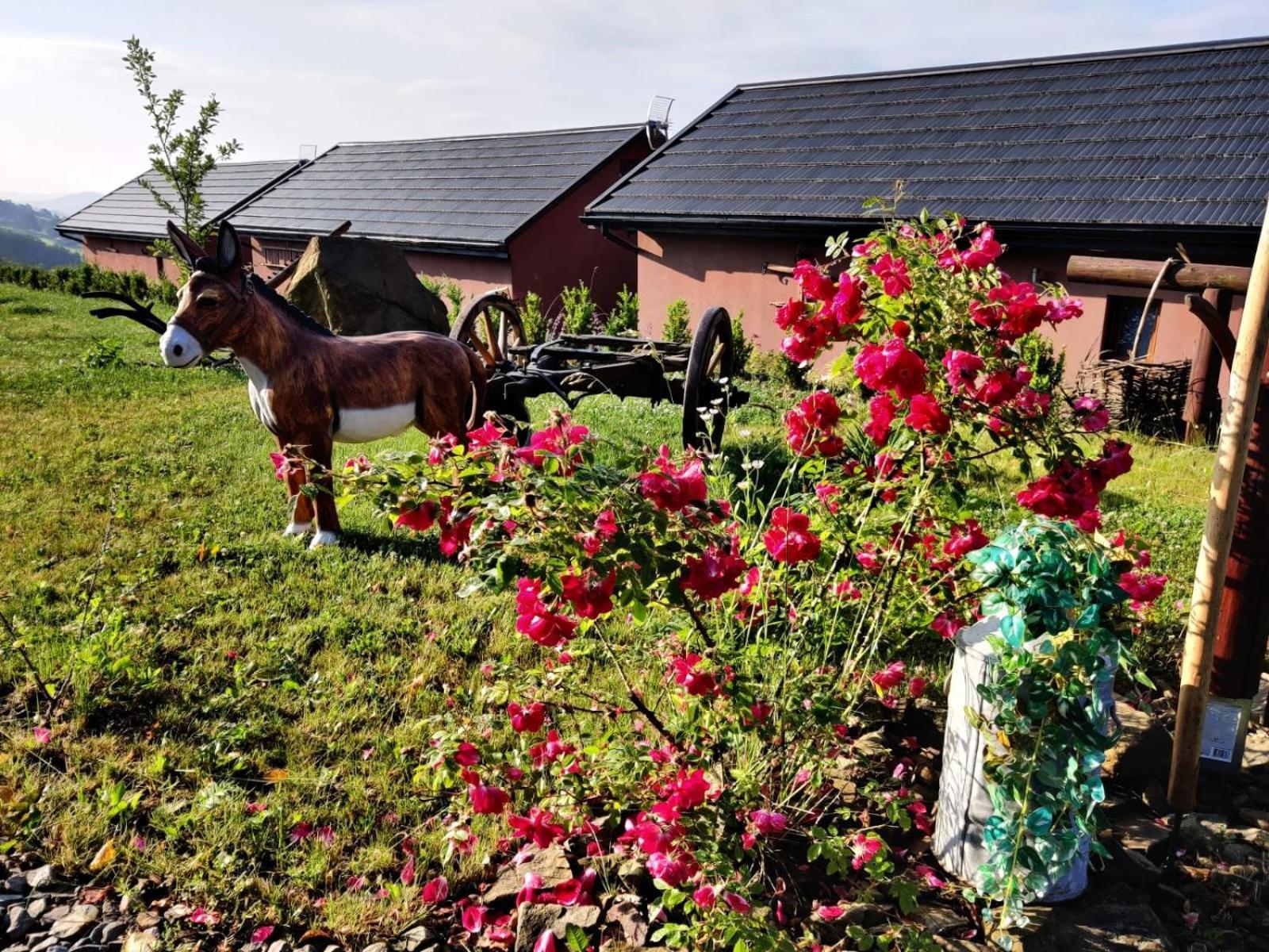 Agroturystyka Faron Rozdziele Exterior foto